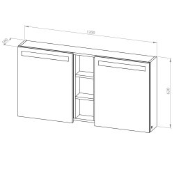 Wall-hung cabinet Grande Plus 120 with mirror, 2 doors